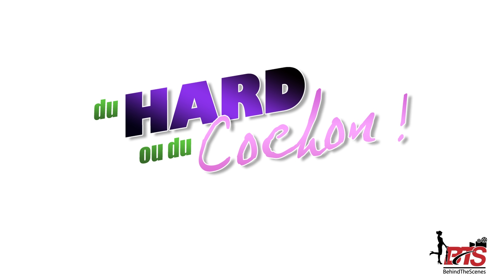 « Du Hard ou du cochon » une mini-série décalée par Canal+ – 2010