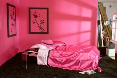 Empty Porn sets, Pink Satin sheets