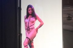 Conventions_2015Tours_20