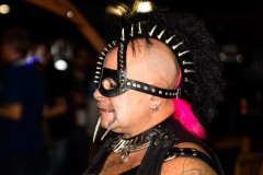 Kinky-VENUS-Artikel