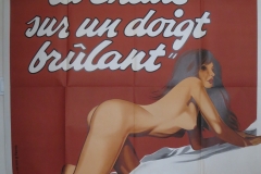 la-Chatte-sur-un-doigt-brûlant